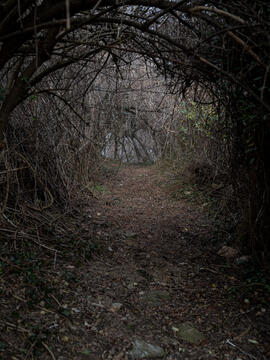 Untitled Untitled