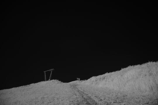 Untitled Untitled